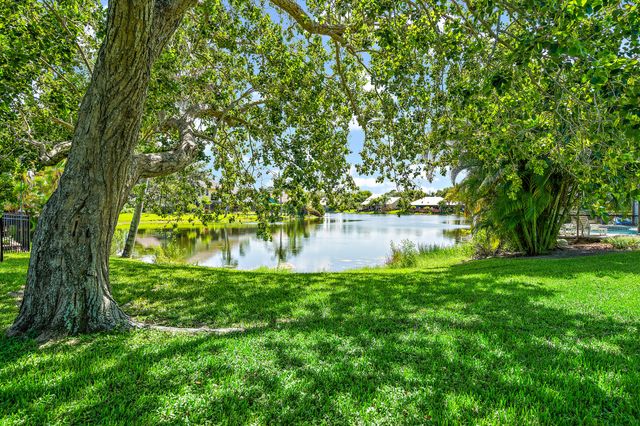 a view of backyard with swimming pool