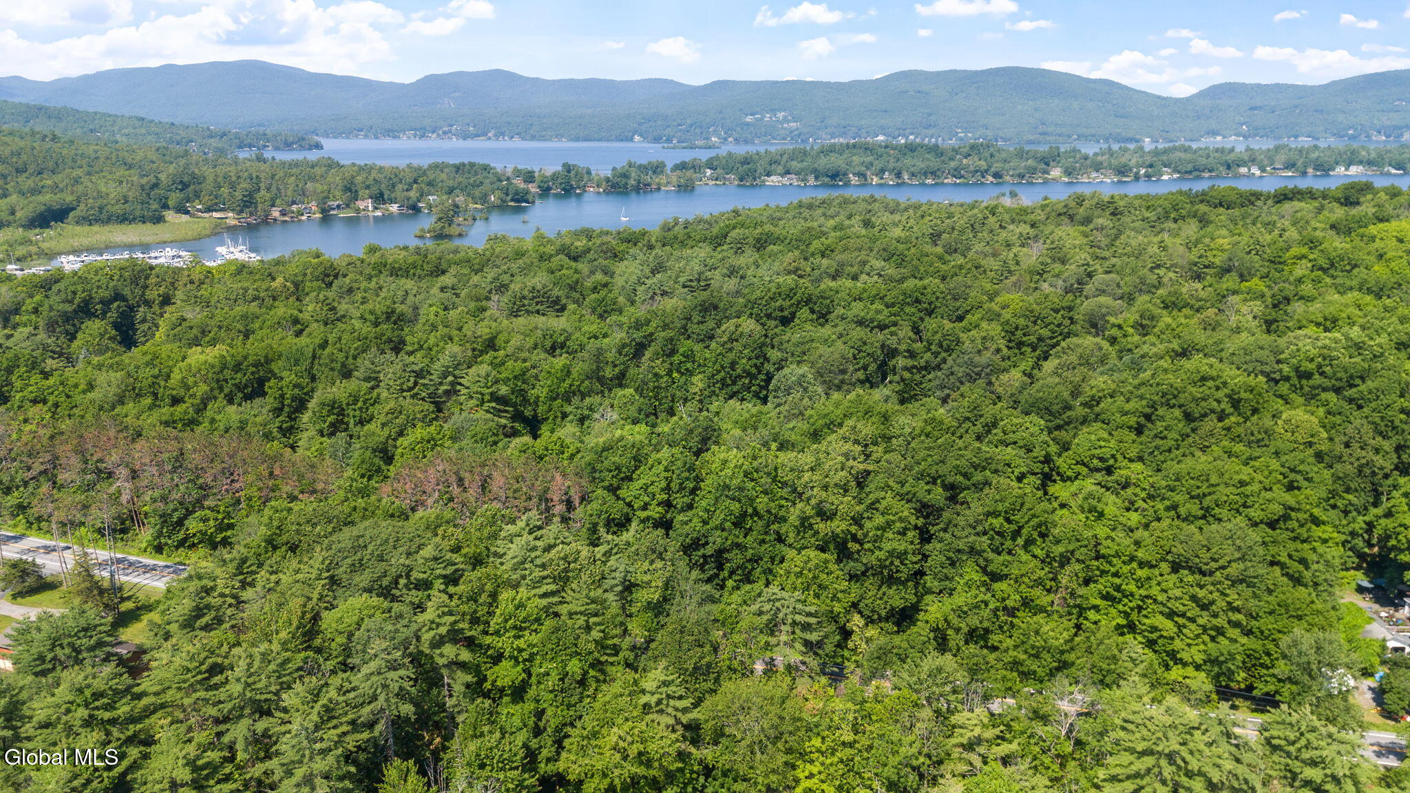 15-web-or-mls-ny-9l