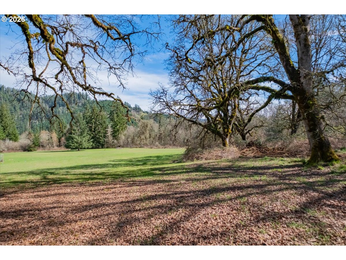 42069 Cut-Off Drive Lebanon, OR 97355 - Photo 43 of 44