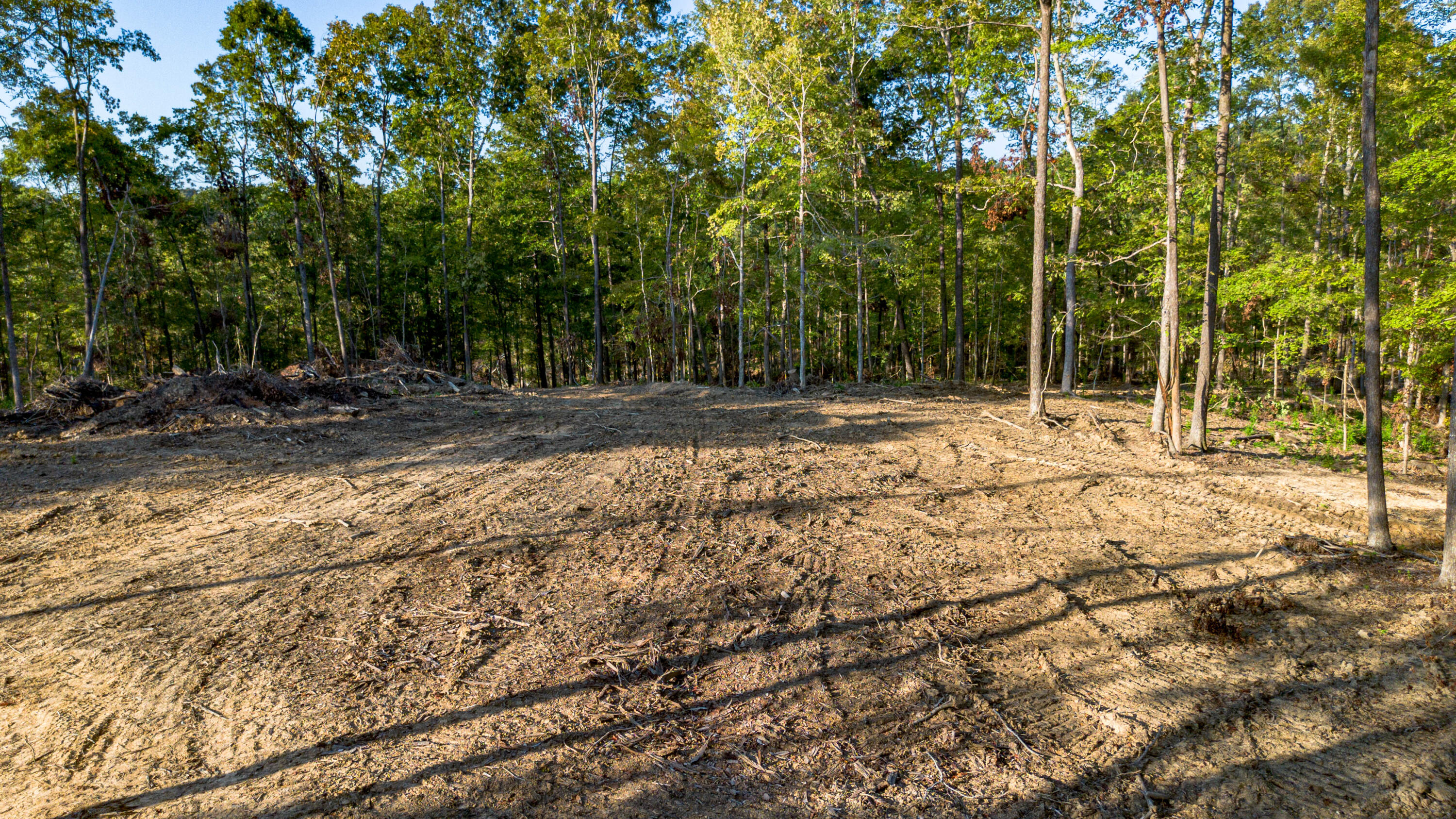 0 Irma White Road Marion, KY 42064 - Photo 12 of 15 DJI_0437