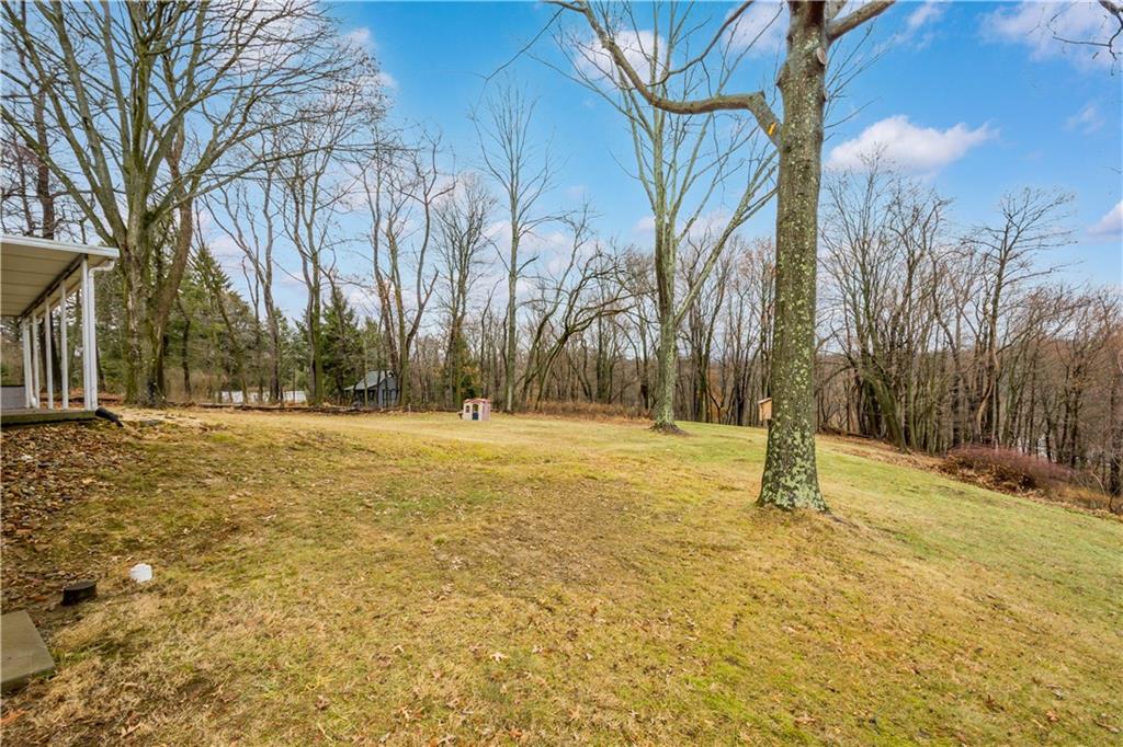 167 South McCoy Pl Road Sewickley, PA 15143 - Photo 35 of 38 Plenty of Space for Pets or Play