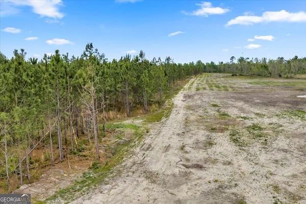 a view of a yard with trees in the background