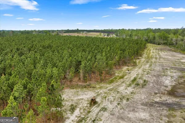 a view of a backyard with trees