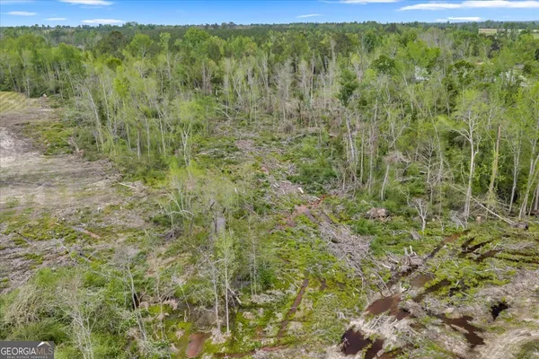 a view of an ocean beach