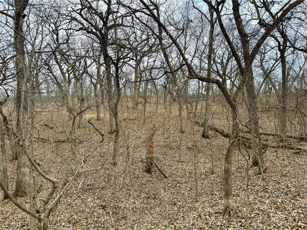 0 Gilsen Creek Road Onaga, KS 66521 - Photo 28 of 98