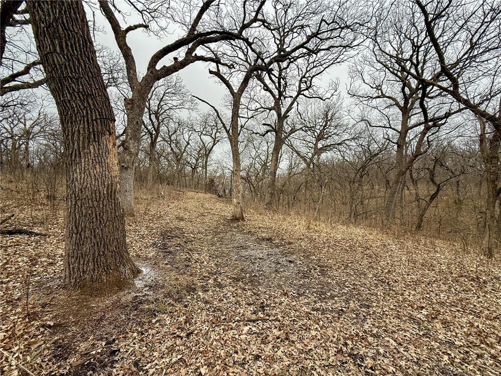 0 Gilsen Creek Road Onaga, KS 66521 - Photo 29 of 99