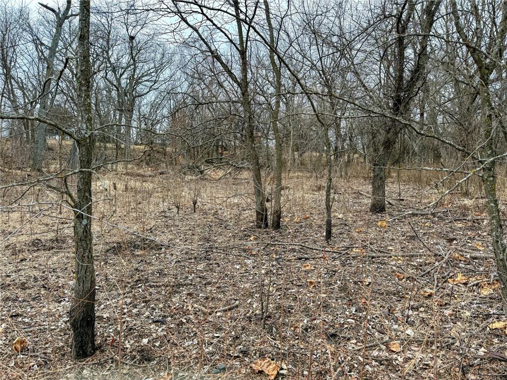 0 Gilsen Creek Road Onaga, KS 66521 - Photo 37 of 99