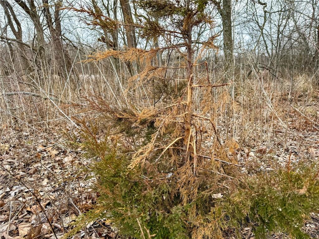 0 Gilsen Creek Road Onaga, KS 66521 - Photo 43 of 98