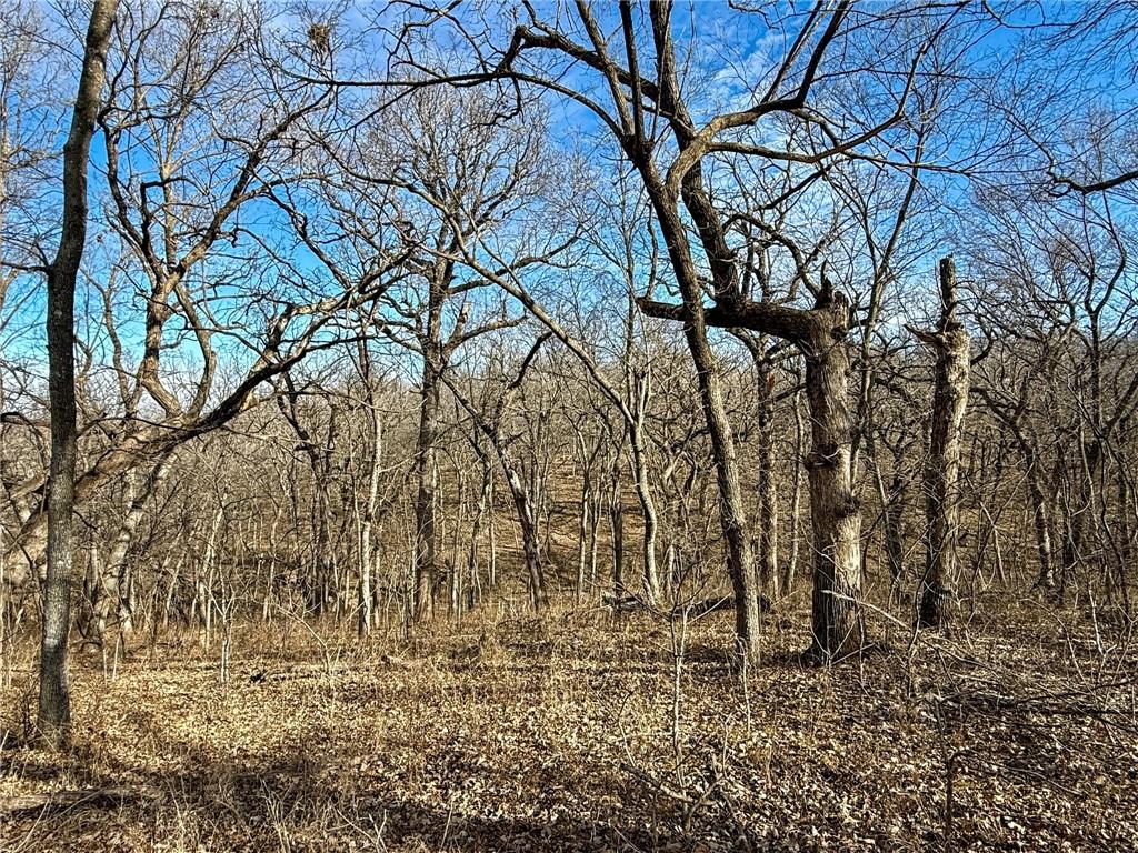 0 Gilsen Creek Road Onaga, KS 66521 - Photo 51 of 99
