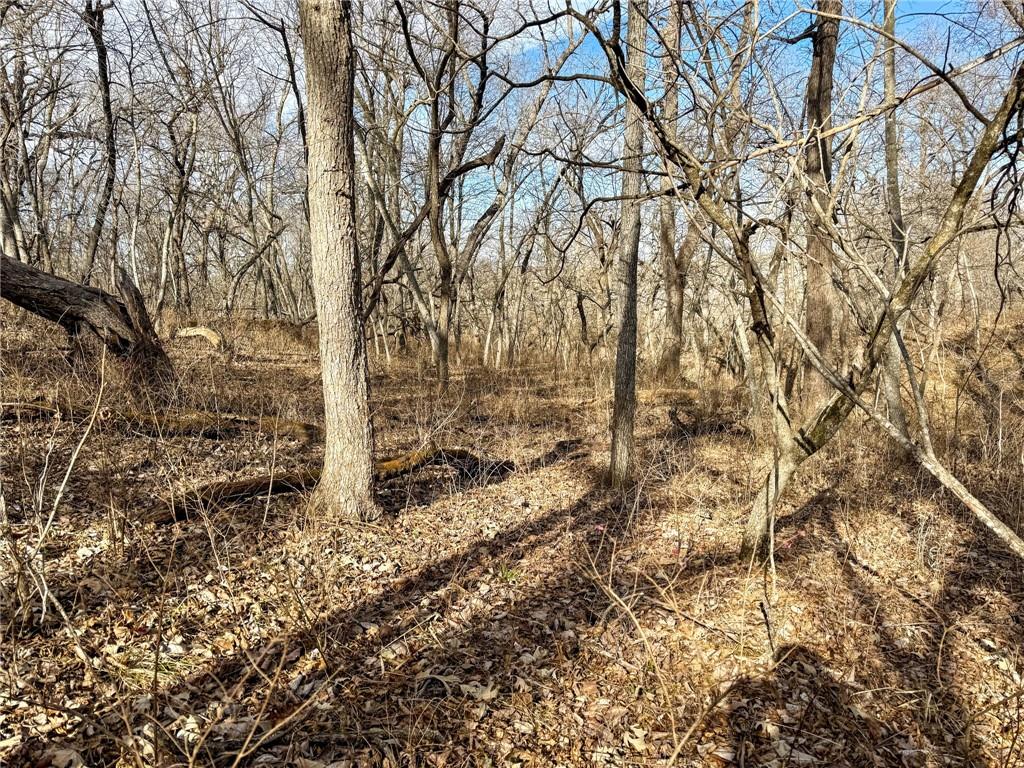 0 Gilsen Creek Road Onaga, KS 66521 - Photo 53 of 98