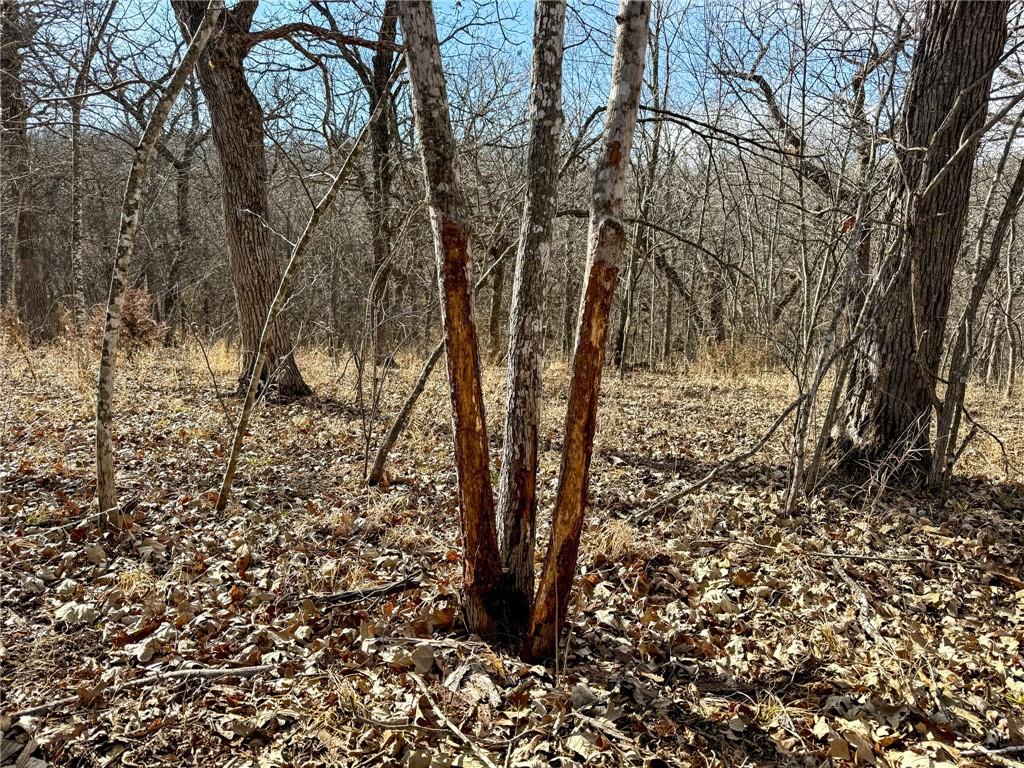 0 Gilsen Creek Road Onaga, KS 66521 - Photo 58 of 99