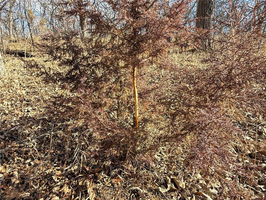 0 Gilsen Creek Road Onaga, KS 66521 - Photo 63 of 98