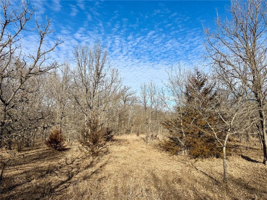 0 Gilsen Creek Road Onaga, KS 66521 - Photo 69 of 99