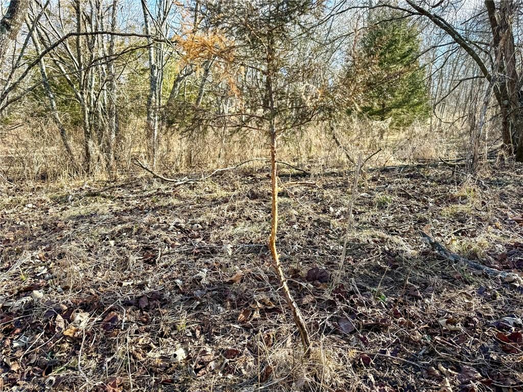 0 Gilsen Creek Road Onaga, KS 66521 - Photo 70 of 99