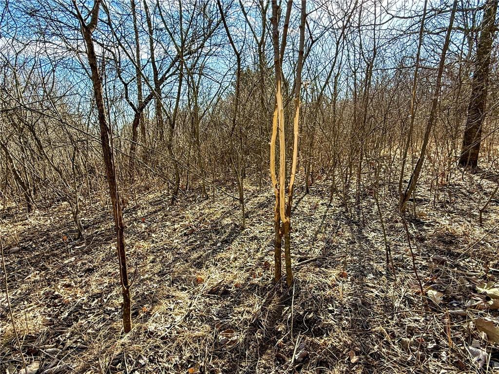 0 Gilsen Creek Road Onaga, KS 66521 - Photo 73 of 98