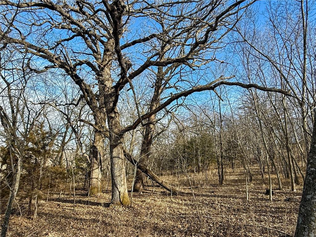 0 Gilsen Creek Road Onaga, KS 66521 - Photo 74 of 98