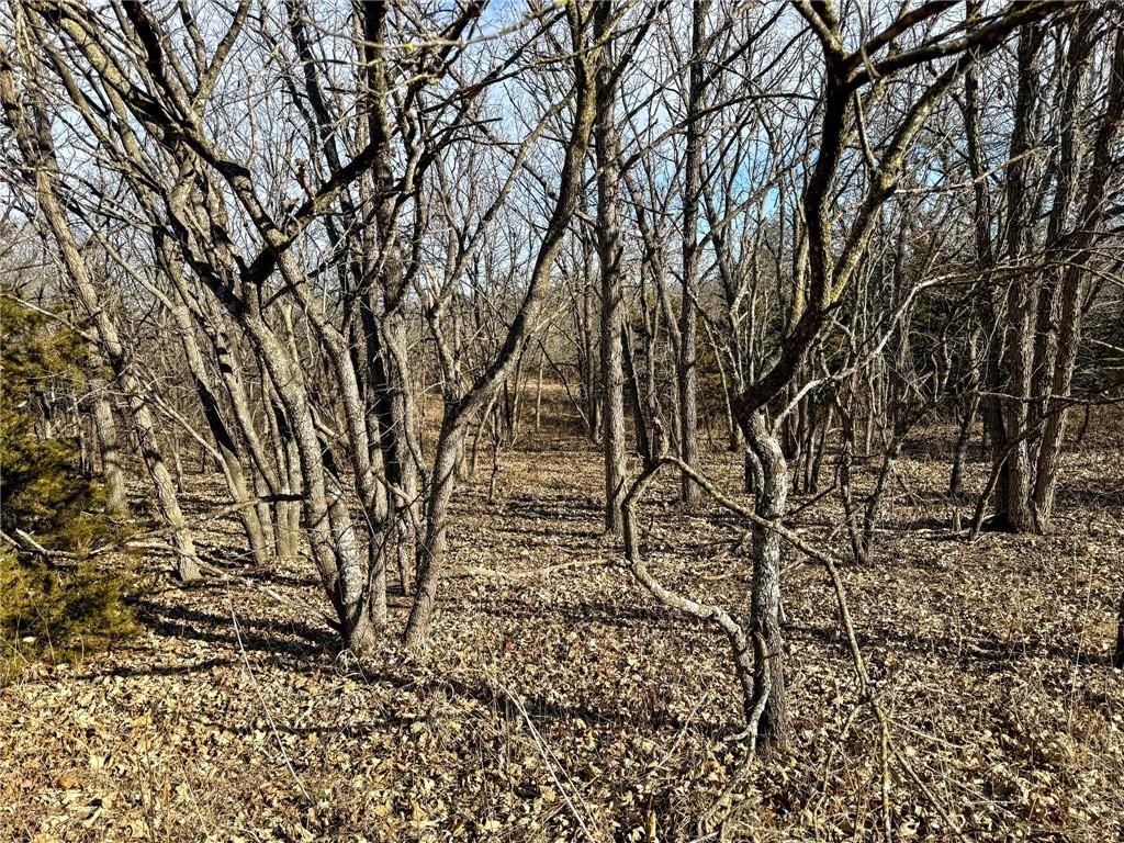 0 Gilsen Creek Road Onaga, KS 66521 - Photo 77 of 99