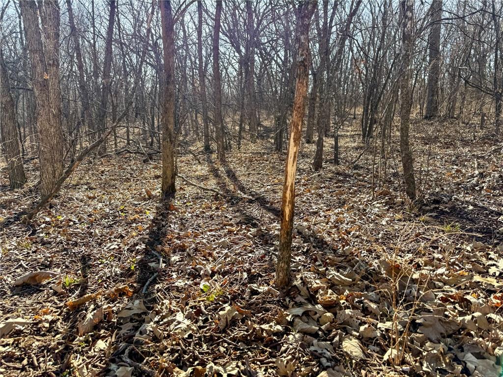 0 Gilsen Creek Road Onaga, KS 66521 - Photo 80 of 98