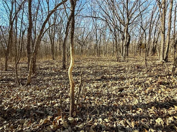 $1,631,168 | 0 Gilsen Creek Road, Onaga, KS 66521