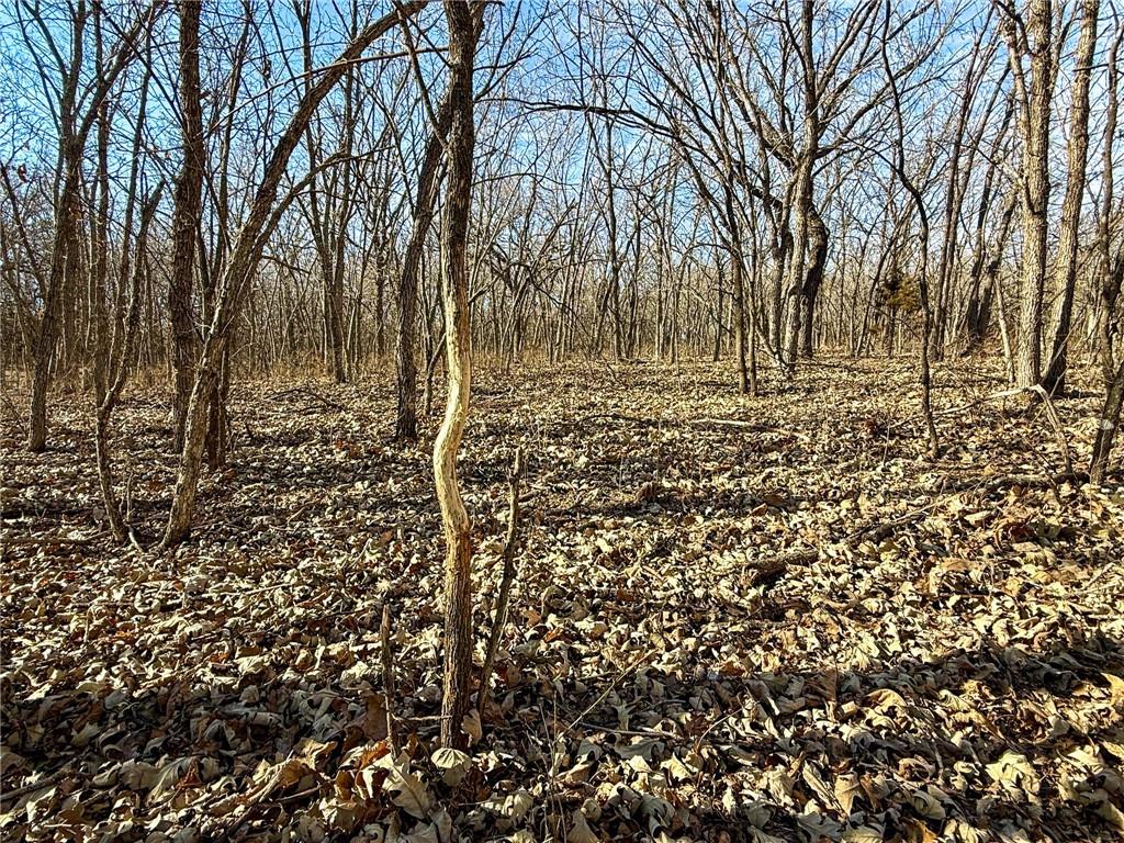 0 Gilsen Creek Road Onaga, KS 66521 - Photo 80 of 99