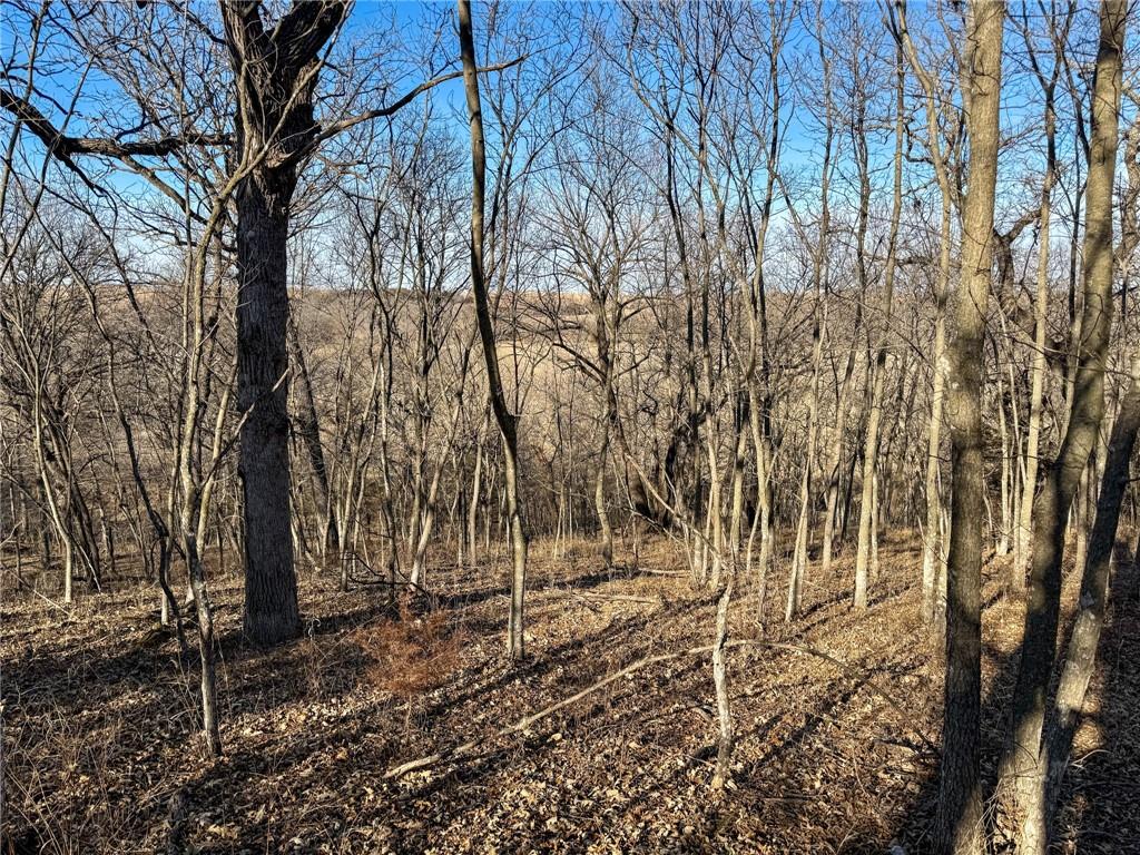 0 Gilsen Creek Road Onaga, KS 66521 - Photo 85 of 98