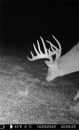 $1,631,168 | 0 Gilsen Creek Road, Onaga, KS 66521