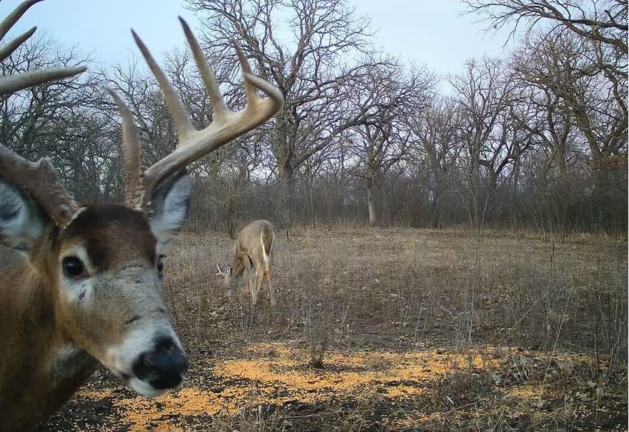 0 Gilsen Creek Road Onaga, KS 66521 - Photo 91 of 98