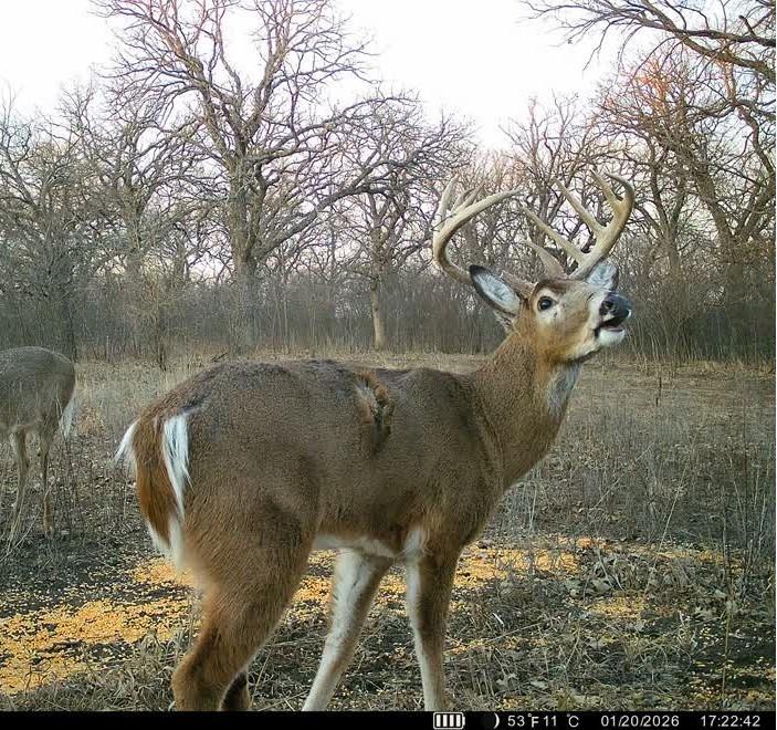 0 Gilsen Creek Road Onaga, KS 66521 - Photo 92 of 98