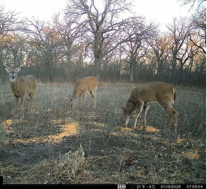 0 Gilsen Creek Road Onaga, KS 66521 - Photo 93 of 98