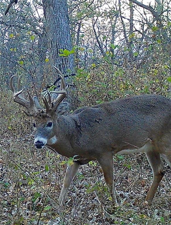 0 Gilsen Creek Road Onaga, KS 66521 - Photo 94 of 98