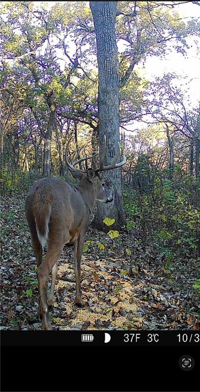 0 Gilsen Creek Road Onaga, KS 66521 - Photo 95 of 99