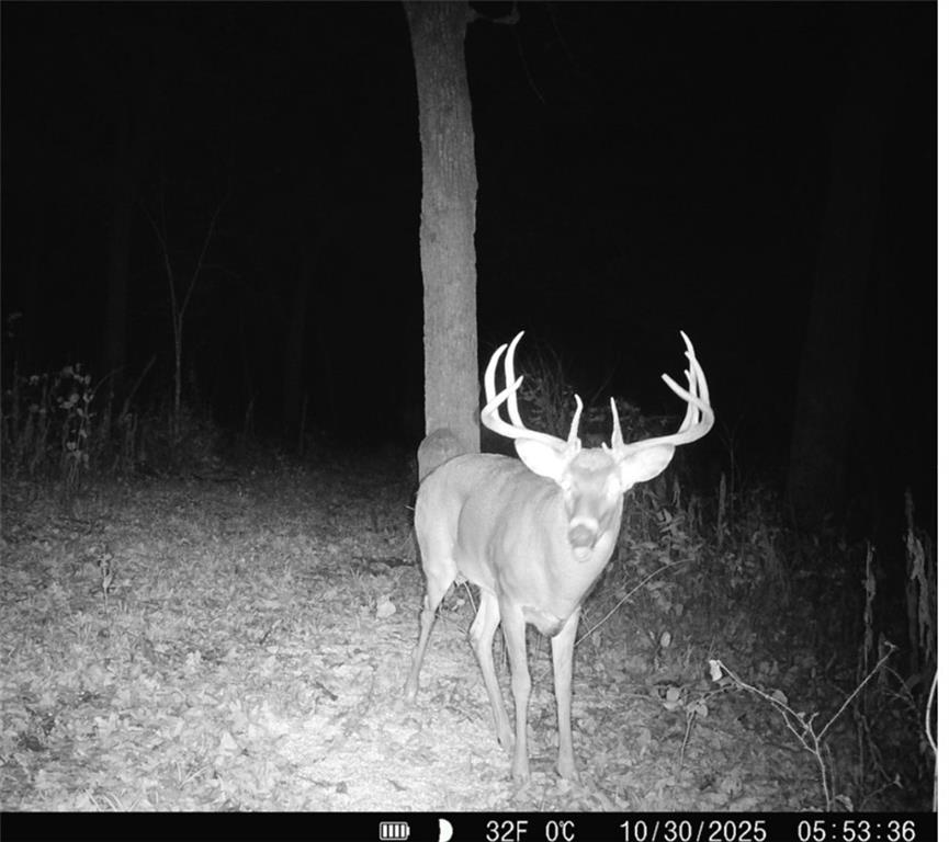 0 Gilsen Creek Road Onaga, KS 66521 - Photo 97 of 98