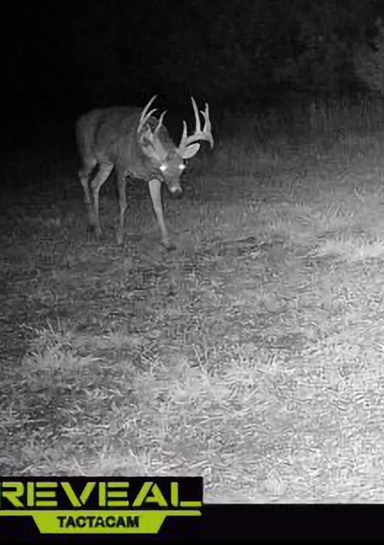 0 Gilsen Creek Road Onaga, KS 66521 - Photo 97 of 99