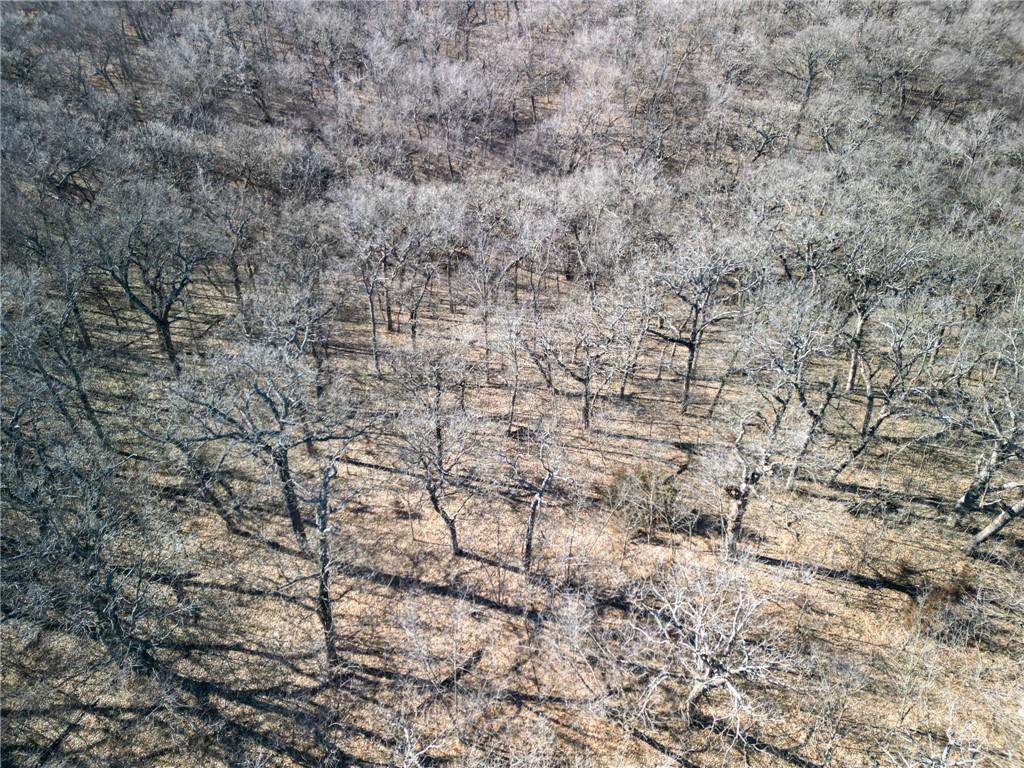 0 Gilsen Creek Road Onaga, KS 66521 - Photo 10 of 98