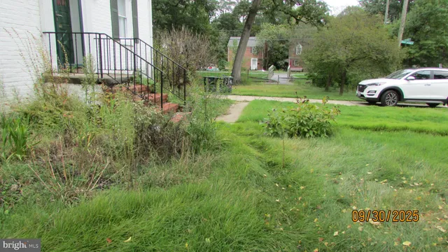 a view of a garden with pathway