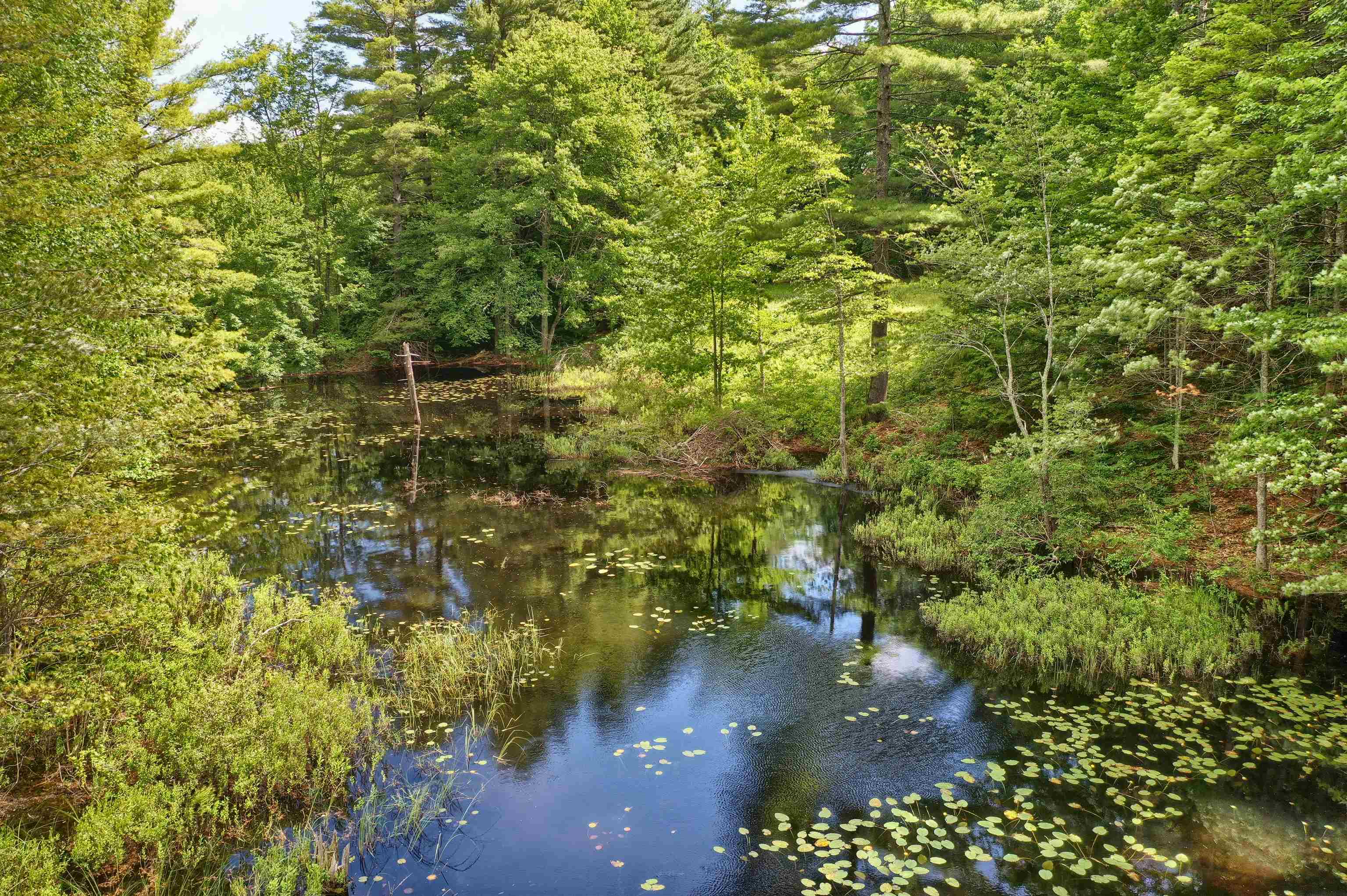 195 Tarn Road Lyndeborough, NH 03057 - Photo 34 of 37 Gallery Image 34
