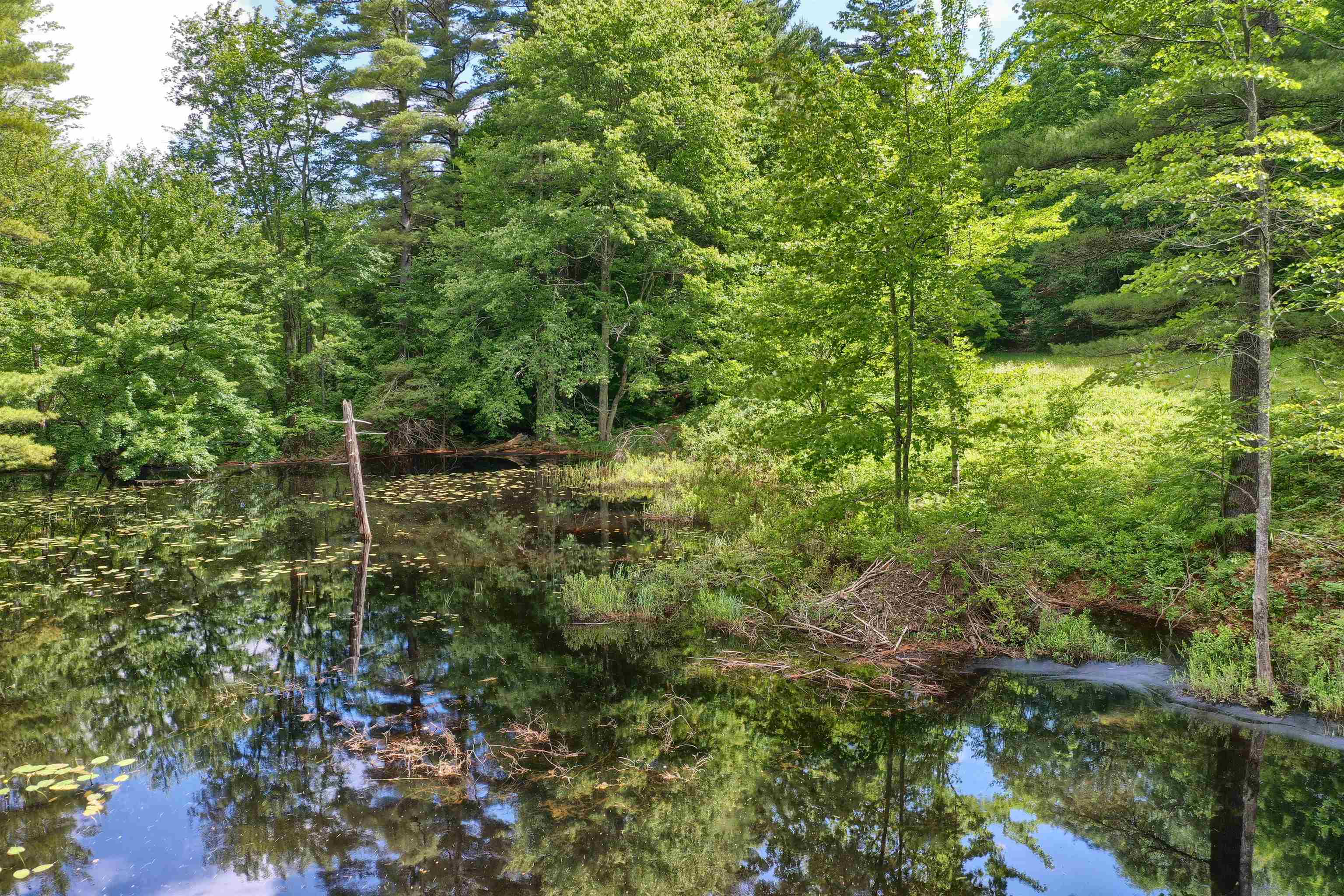 195 Tarn Road Lyndeborough, NH 03057 - Photo 7 of 37 Gallery Image 7