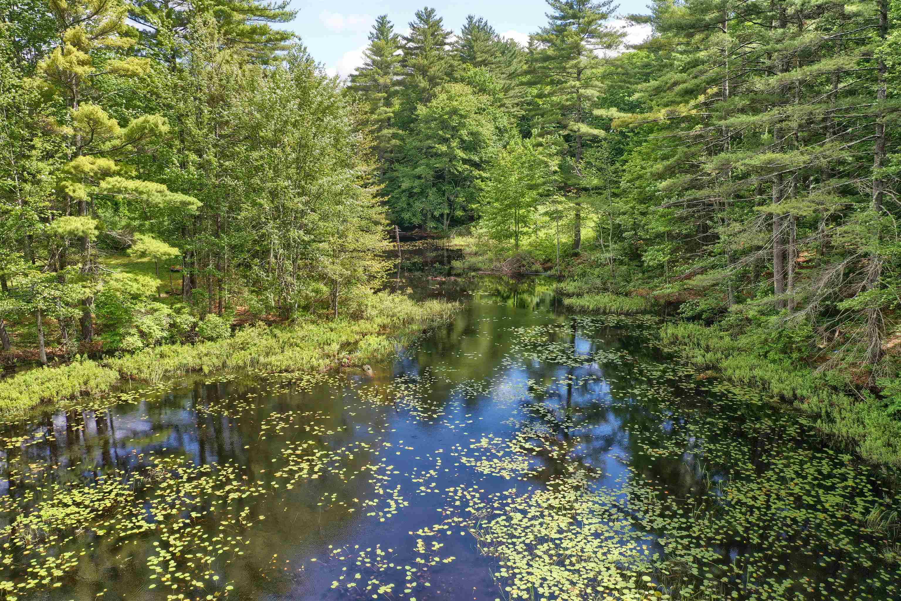 195 Tarn Road Lyndeborough, NH 03057 - Photo 8 of 37 Gallery Image 8