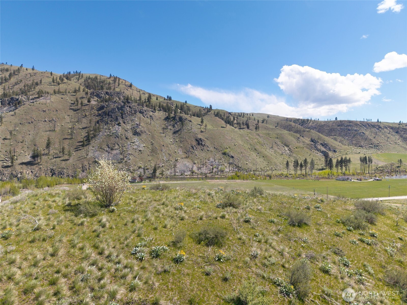 16 Dancing Bear Road Carlton, WA 98814 - Photo 17 of 25 a view of mountain with sky view