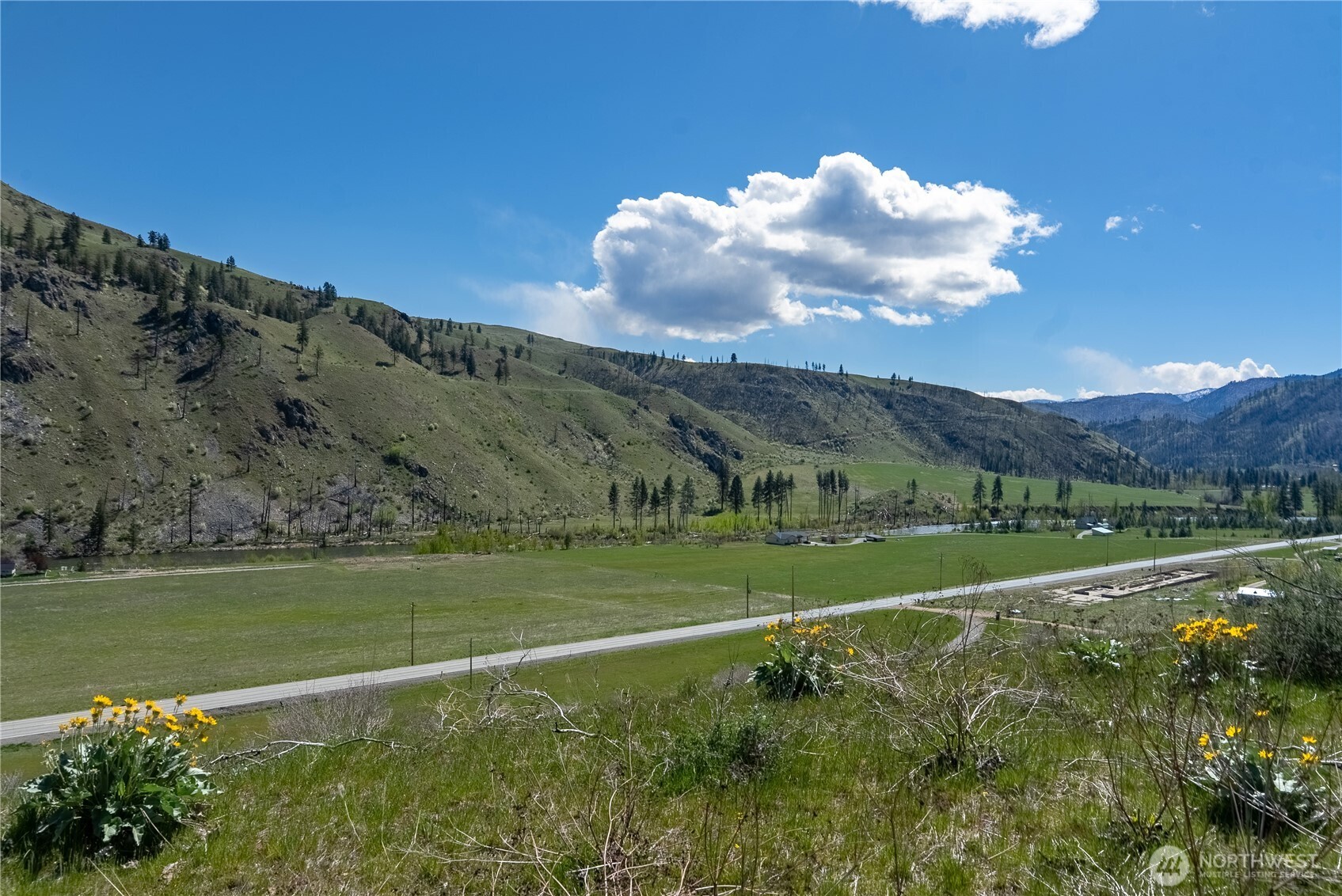 16 Dancing Bear Road Carlton, WA 98814 - Photo 24 of 25 a view of a field with an ocean