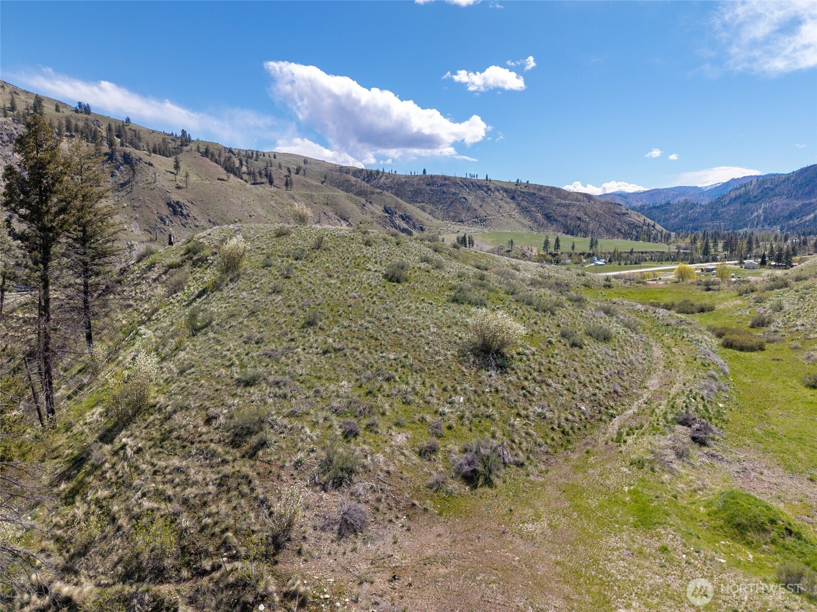 16 Dancing Bear Road Carlton, WA 98814 - Photo 8 of 25 a view of a field with an ocean