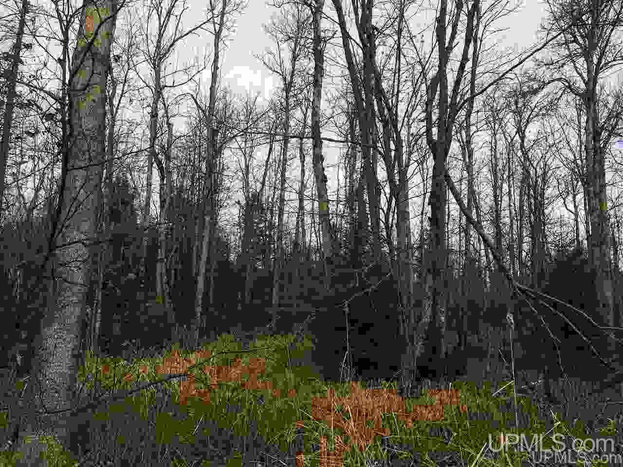 40-acres Off Cadeau Road Baraga, MI 49908 - Photo 1 of 19