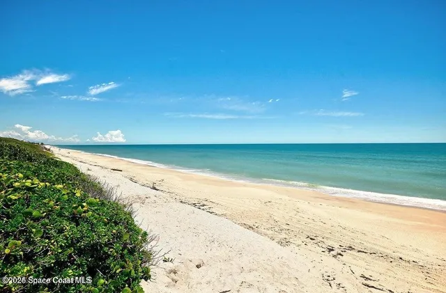 a view of beach and ocean