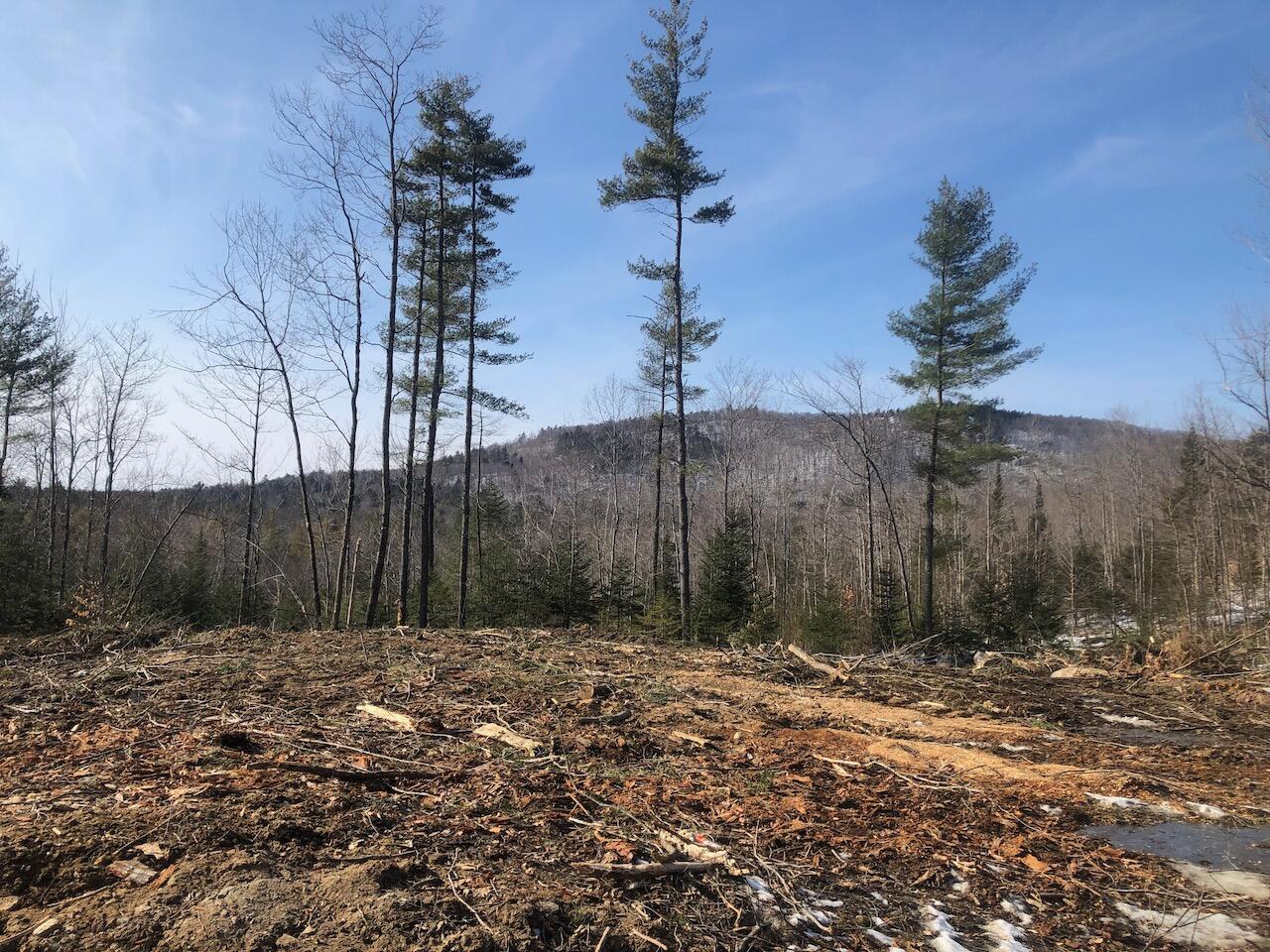 1 Hayes Road Norway, ME 04268 - Photo 36 of 40 UVRK4052