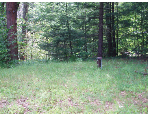 47 Route 20 Chester, MA 01011 - Photo 7 of 19 a view of a lush green forest
