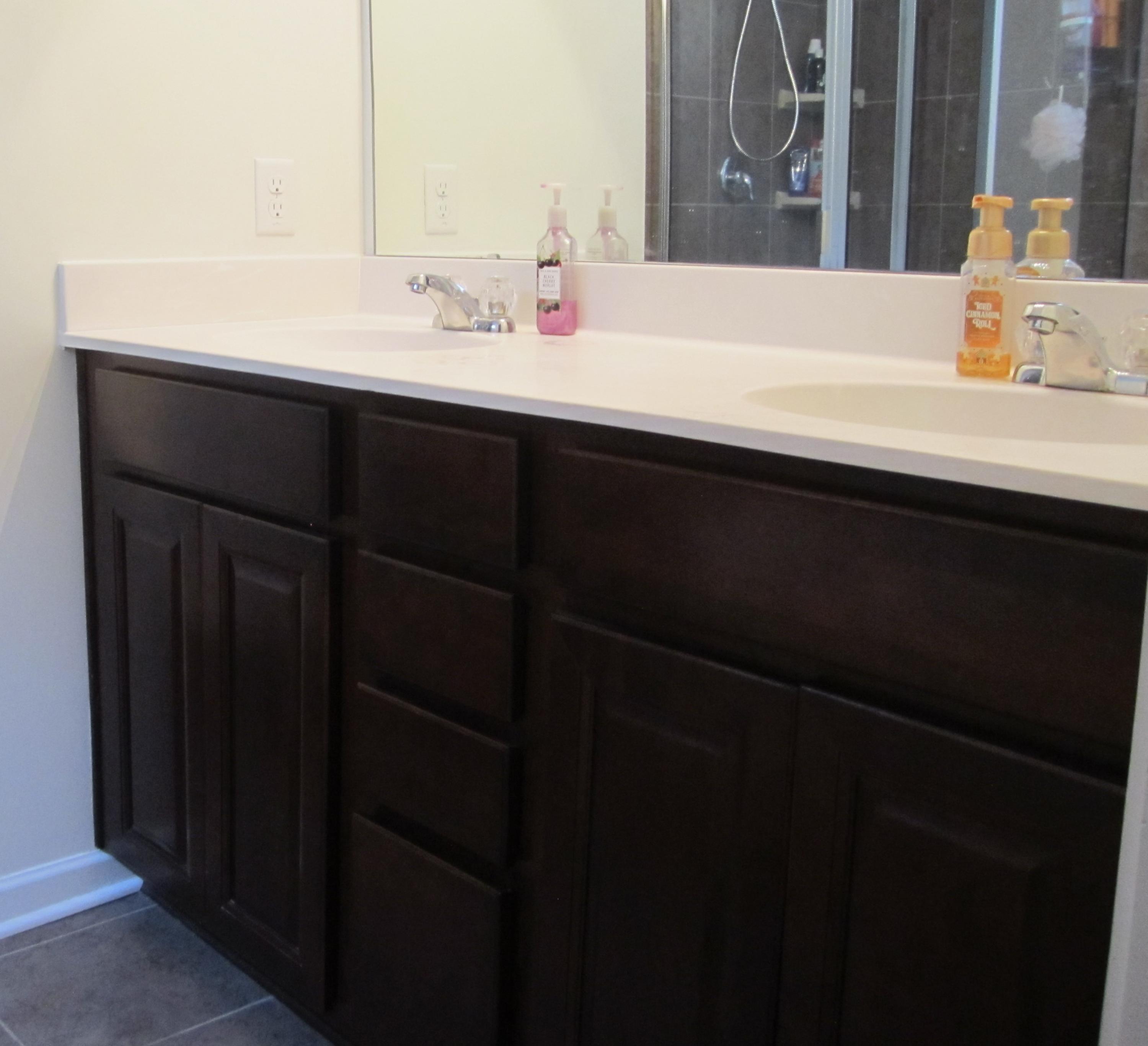 272 Decatur Drive Summerville, SC 29486 - Photo 24 of 42 Double Vanity