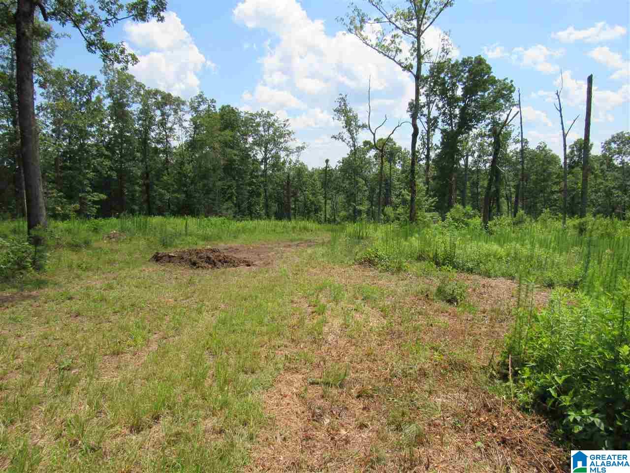 1 County Road 2811 Lineville, AL 36266 - Photo 1 of 8