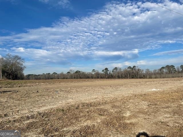 0 South Hwy 301 Register, GA 30452 - Photo 2 of 4 a view of an ocean