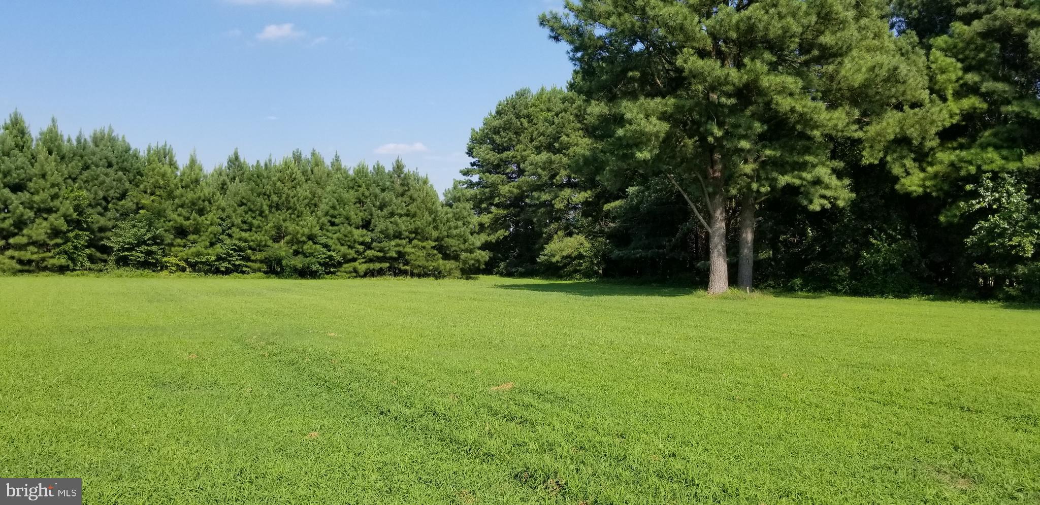 7573 Harmony Road Preston, MD 21655 - Photo 5 of 15