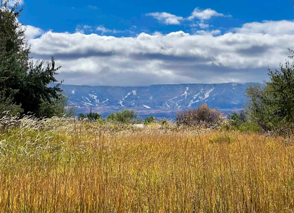 $199,900 | 48989 Gaia Drive, Mesa, CO 81643